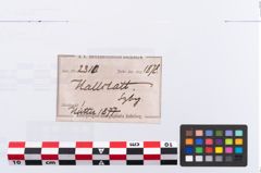 Etikett zu Bronzearmreif (NHMW-PRAE-002310)